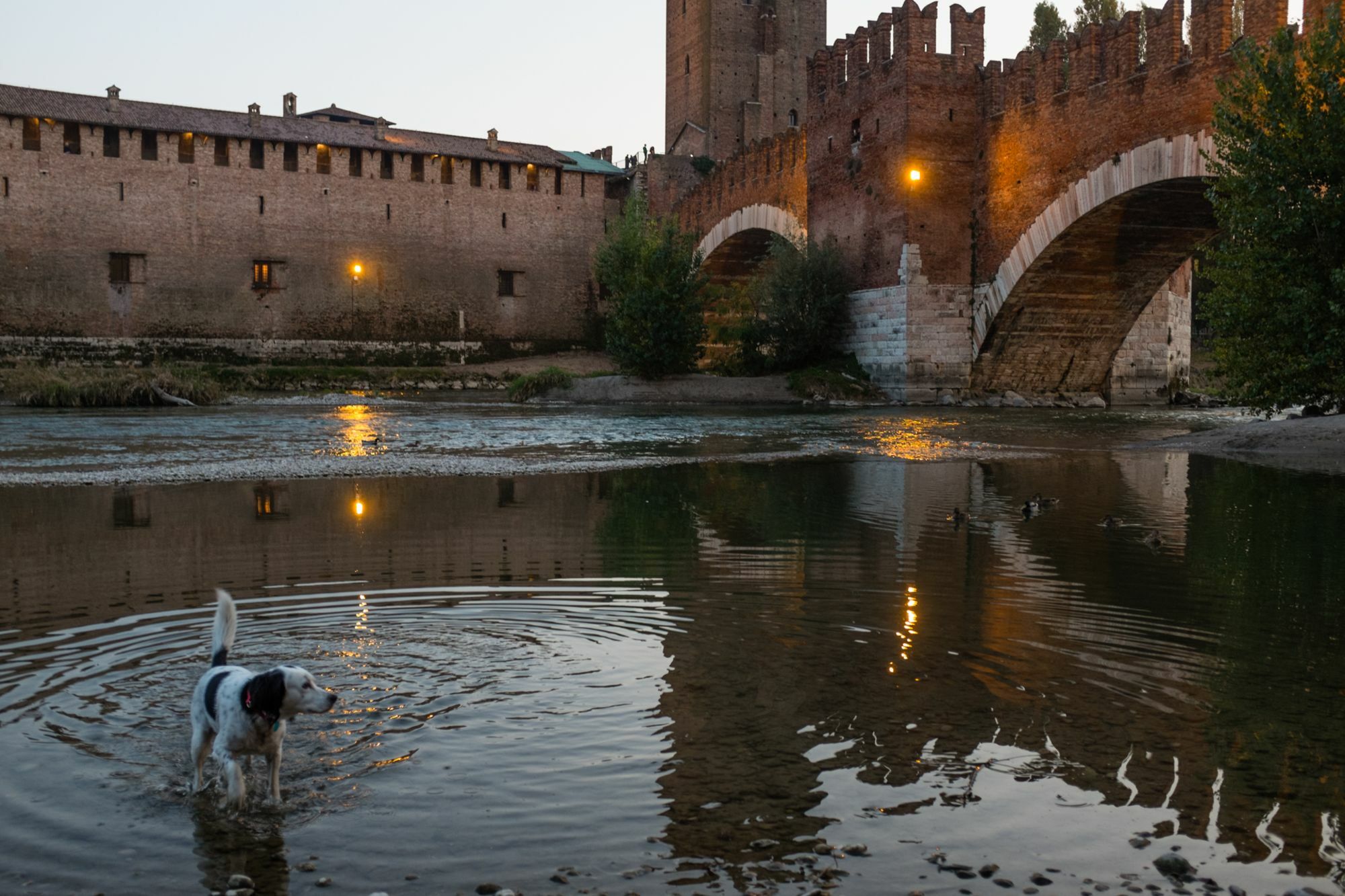 Residenza Roccaforte Scaligera Verona Exterior photo